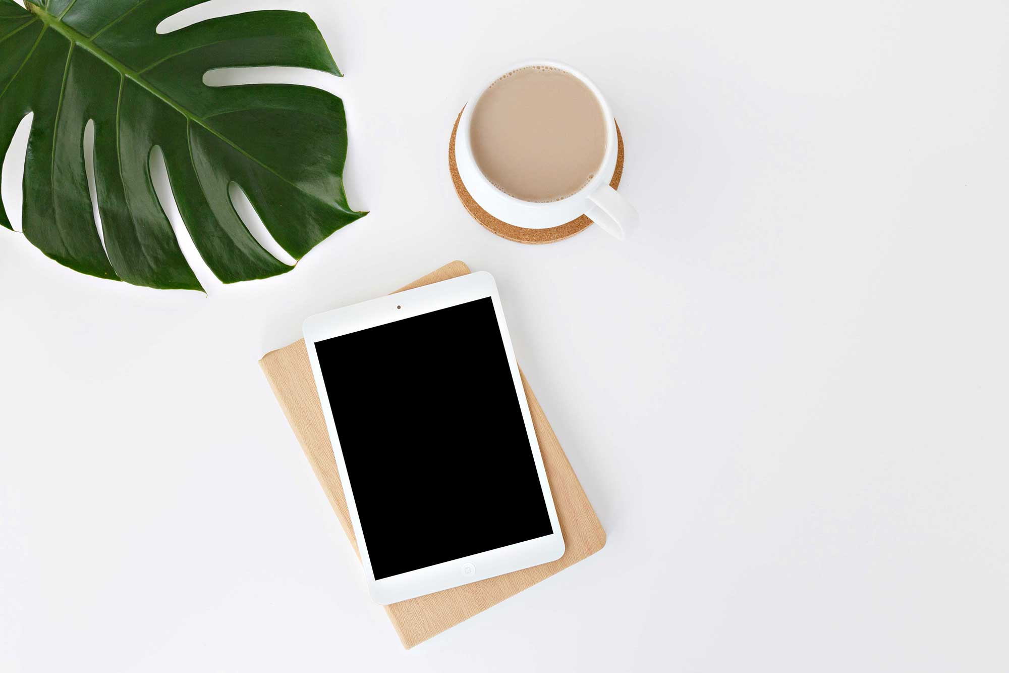 leone-venter-pVt9j3iWtPM-unsplash leone-venter-pVt9j3iWtPM-unsplash